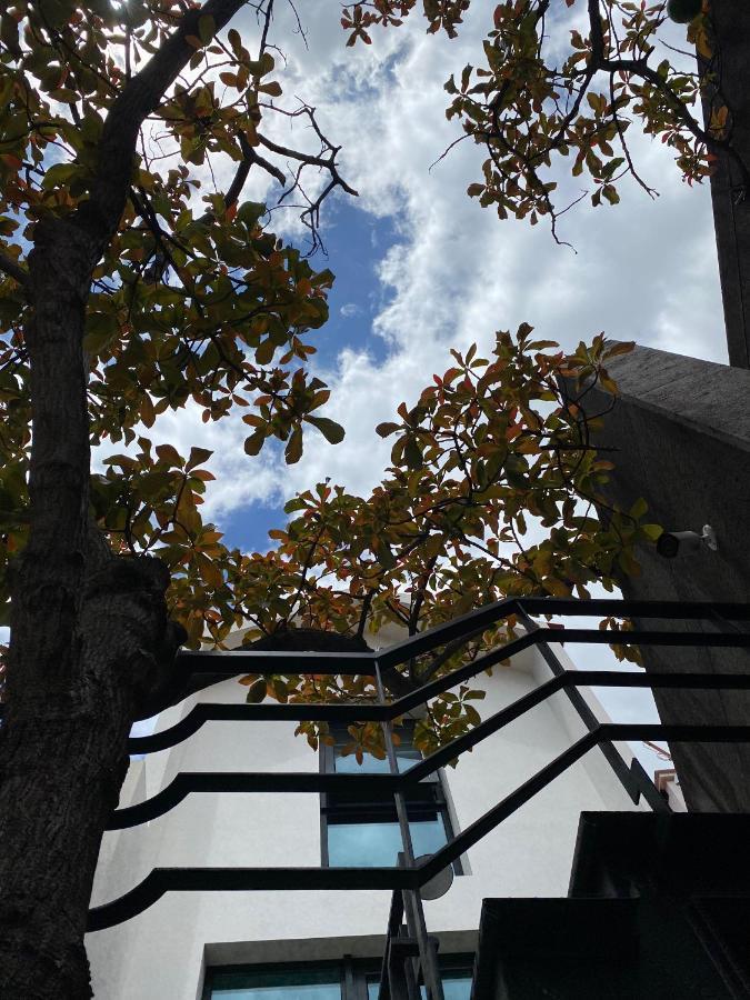 The Loft Junction Apartment Funchal  Bagian luar foto