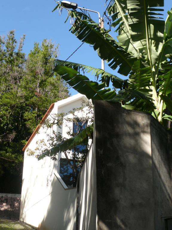The Loft Junction Apartment Funchal  Bagian luar foto